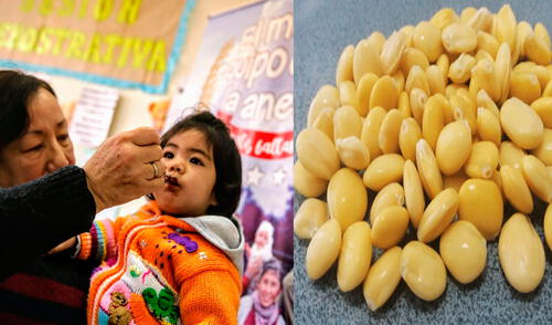 Galletas de Chocho buscan reducir los índices de anemia en el país. Foto: Composición