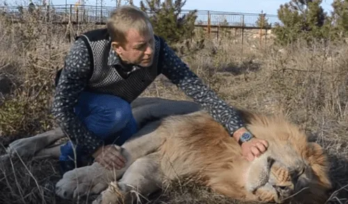 YouTube viral: guía de turistas se lleva el susto de su vida al encontrar a enorme león 'muerto' [VIDEO] 