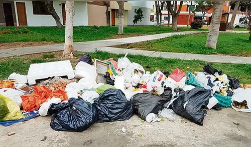 Basurales se acumularon en urbanizaciones y avenidas de Trujillo Basurales se acumularon en urbanizaciones y avenidas de Trujillo