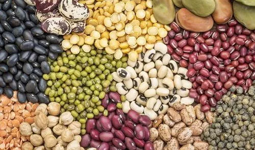 Día mundial de las legumbres: consumo per cápita en Perú está por debajo de lo que recomienda la OMS Día mundial de las legumbres: consumo per cápita en Perú está por debajo de lo que recomienda la OMS