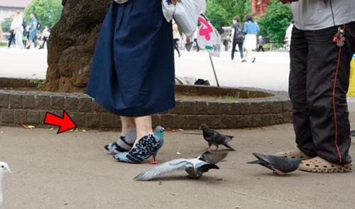 Facebook viral: asiático confecciona zapatos con forma de ‘paloma’ y emociona por el motivo [VIDEO]