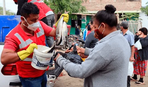Distribuyen 20 toneladas de pescado en Piura.