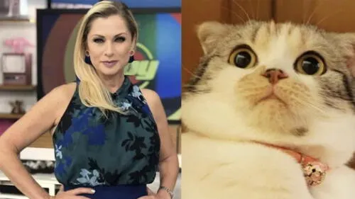 La mexicana Leticia Calderón abandonó el set de la telenovela “Imperio de Mentiras” por culpa de un gato que apareció en el jardín donde se realizan las grabaciones.