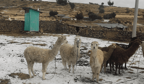 Senamhi advierte lluvias, granizo y nevada en la Costa norte y Sierra Senamhi advierte lluvias, granizo y nevada en la Costa norte y Sierra