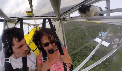 Desliza para ver el desenlace de este video viral de Facebook. Foto: Captura. facebook