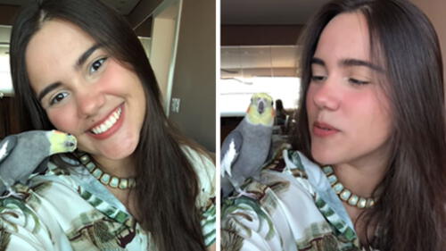 Facebook: bella brasileña se quiso tomar un selfie y su mascota hizo lo impensado