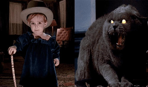 Cementerio de mascotas: Se confirma fecha de estreno del remake [VIDEO] 