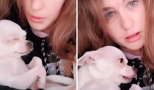 El perrito se dejó engreír por su dueña. Foto: captura de TikTok / @huete.esther Perrito demuestra su dramatismo a través de un challenge de TikTok.