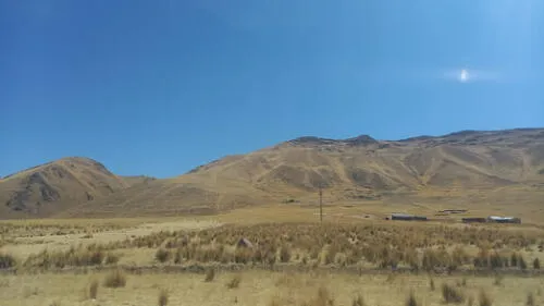 Sequia se vive en el altiplano puneño lo que preocupa a los comuneros. Foto: Dirección Regional de Agricultura