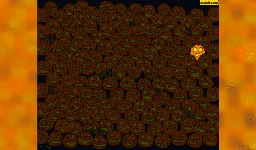 ¿Puedes encontrar la calabaza sin nariz? El reto visual que muchos no han podido superar [FOTOS]