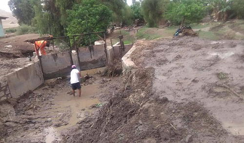 La Libertad: Niño costero afectó 10 mil hectáreas en el valle Chicama