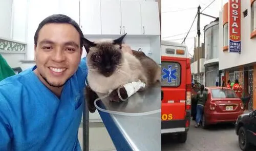 Arequipa: Investigarán a encargada de hostal donde hallaron muerto a veterinario