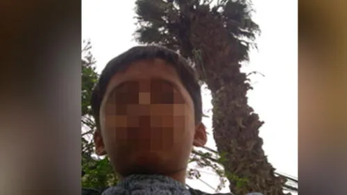 Niño rescata a gato de la calle y lo aloja en albergue que funciona en su casa [VIDEO]
