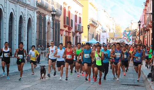 Mazapán, el perro que baila sin temor a los fuegos artificiales en México [VIDEO]