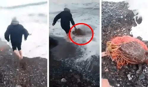 YouTube viral: hombre arriesga su vida e ingresa al mar para salvar a tortuga cubierta de plástico [VIDEO]