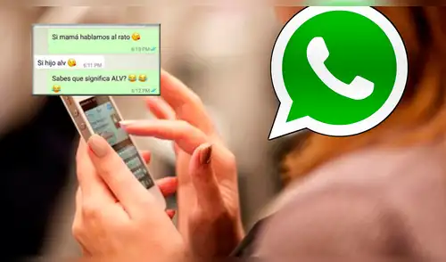 WhatsApp: hablaba con su mamá y ella lo sorprende con peculiar despedida [FOTO]
