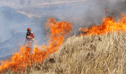 Junín: piden que SERFOR intervenga en casos de quema en pastizales Junín: piden que SERFOR intervenga en casos de quema en pastizales