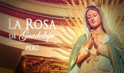 La Rosa de Guadalupe Perú contará con elenco nacional e internacional.