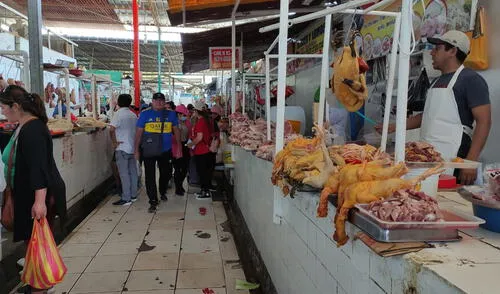el contagio solo se puede dar entre las propias aves.