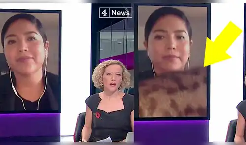 Twitter: joven es interrumpida de la peor forma por su gato cuando daba entrevista en vivo [VIDEO]