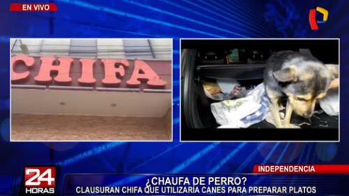 Independencia: Municipalidad clausuró chifa que vendería carne de perro [VIDEO]