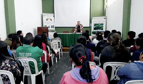 Investigan irregularidades en Sunarp de Chachapoyas