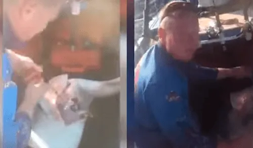 YouTube: Abre tiburón recién atrapado y encuentro algo increíble en su interior