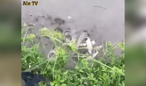 YouTube viral: misterioso lago fue visitado por pescador que arrojó sus redes y atrapó esto [VIDEO]