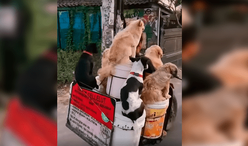 Facebook viral: hombre improvisa singular transporte para pasear a sus seis perros y causa furor en las redes [VIDEO]