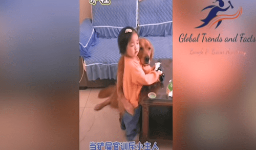 Facebook viral: perro protege a niña y se pone delante de ella para impedir que sea regañada por su madre