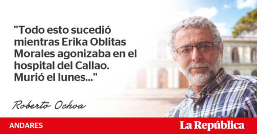 ¿Quién mató a Erika? 