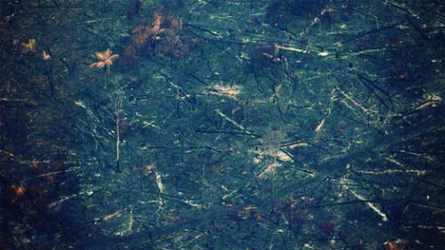 Fuego arrasó con incontables hectáreas del ''pulmón del mundo''. Foto: EFE Fuego arrasó con incontables hectáreas del ''pulmón del mundo''. Foto: EFE