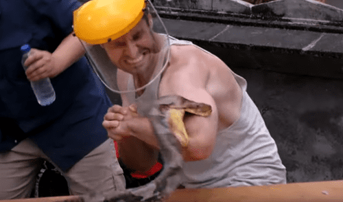 YouTube viral: serpiente pitón ataca a hombre