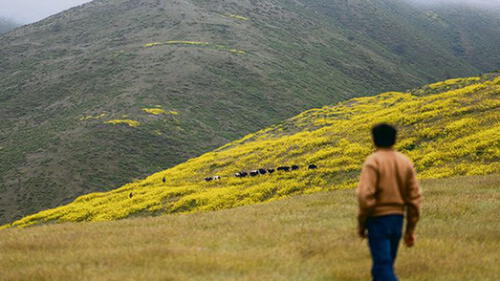 Una de las zonas escogidas es Lomas Cachendo en la provincia de Islay.