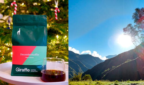 El cultivo del café peruano se extiende en 440.440 hectáreas de superficie cosechada. Foto: composición PROMPERÚ