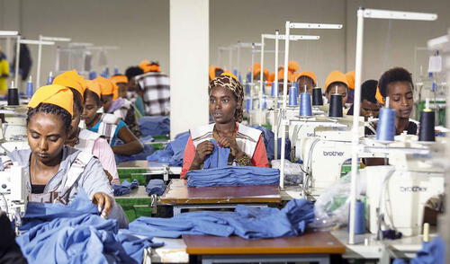 Perú es el quinto proveedor de suéteres de algodón de Estados Unidos