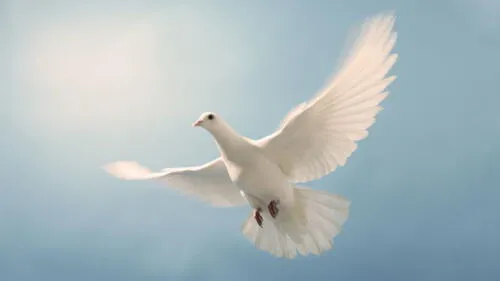 Polémica por colegio religioso que justificó desmayo de alumnos por “obra del espíritu santo”