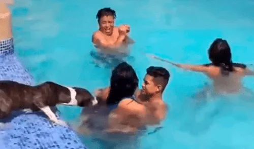 Facebook: perro ve a cariñosa pareja dentro de piscina y los interrumpe de la peor forma [VIDEO]
