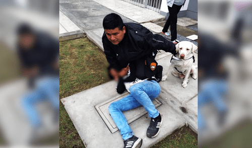 Perros ayudaron a agentes municipales a capturar a delincuente.