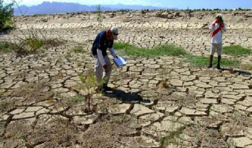 Gobierno declara en emergencia 60 distritos de Apurímac y Ayacucho por sequías