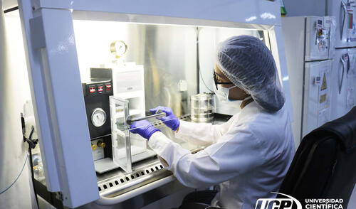 La línea principal del Laboratorio de Biotecnología y Bioenergética - I es el cultivo de microalgas.