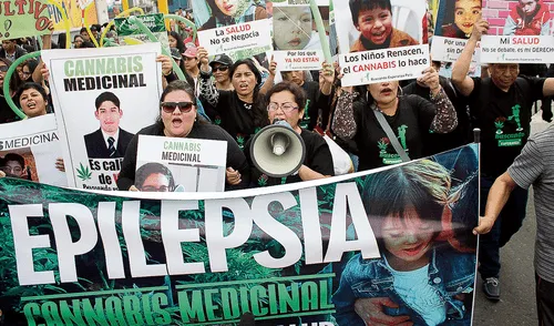 Aprueban ley que permite uso de cannabis medicinal Aprueban ley que permite uso de cannabis medicinal