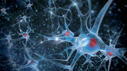 Representación de neuronas en 3D. Imagen: Oriel College. Representación de neuronas en 3D. Imagen: Oriel College.