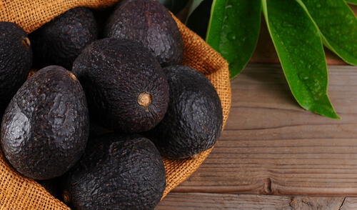 Palta hass Palta hass