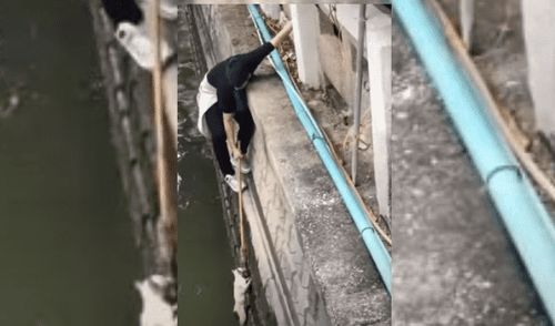 YouTube viral: Joven arriesga su vida para salvar a gato que estaba a punto de caer a un río [VIDEO]