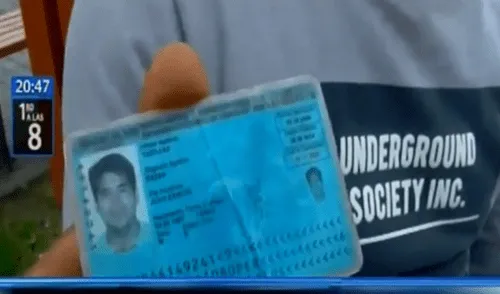 Facebook viral: peruano que puso gatito como firma en su DNI cuenta qué pasó con su mascota [VIDEO]