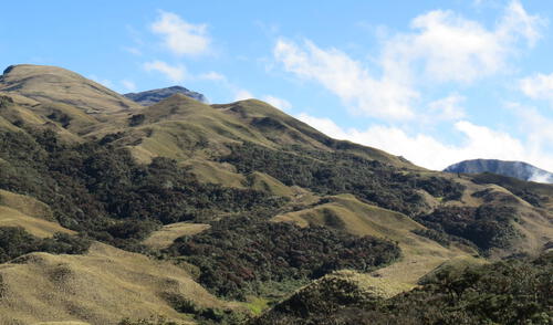 mineria