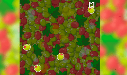 Facebook viral: ¿Ves las aceitunas ocultas entre las uvas? El nuevo reto viral que pocos han superado [FOTOS]