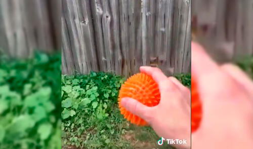 Desliza para ver la secuencia del viral. Foto: Captura/YouTube