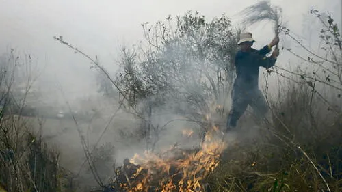 Incendio. Pérdidas son incalculables. A diario se registra, por lo menos, un siniestro.